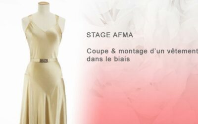 Stage Afma – stage Biais